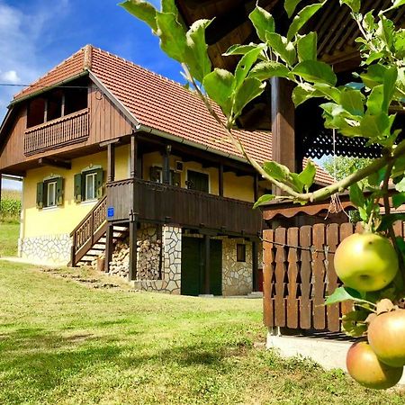 Country House Novosel Duga Resa Zewnętrze zdjęcie