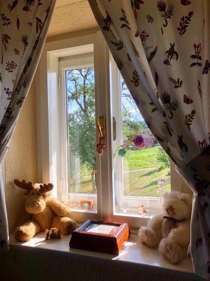 Country House Novosel Duga Resa Zewnętrze zdjęcie