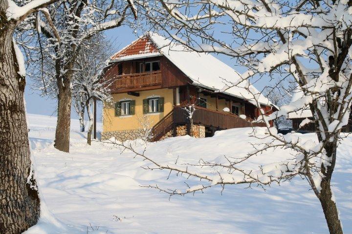 Country House Novosel Duga Resa Zewnętrze zdjęcie